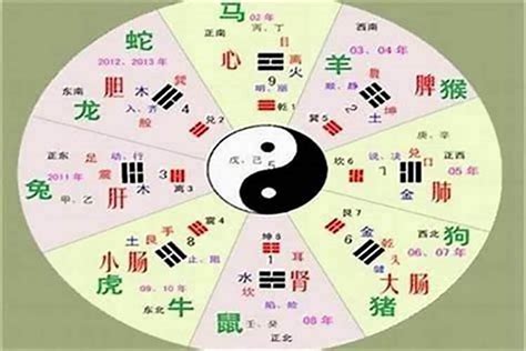 宗 五行|宗字的五行属性